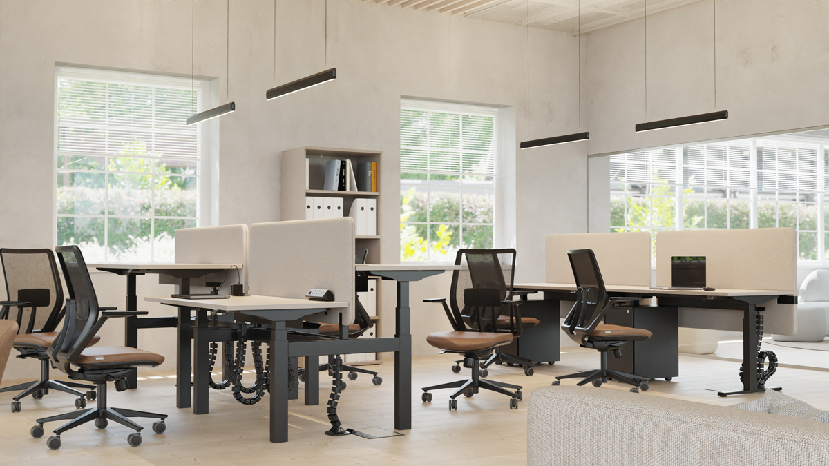 SYSTM height adjustable back-to-back bench