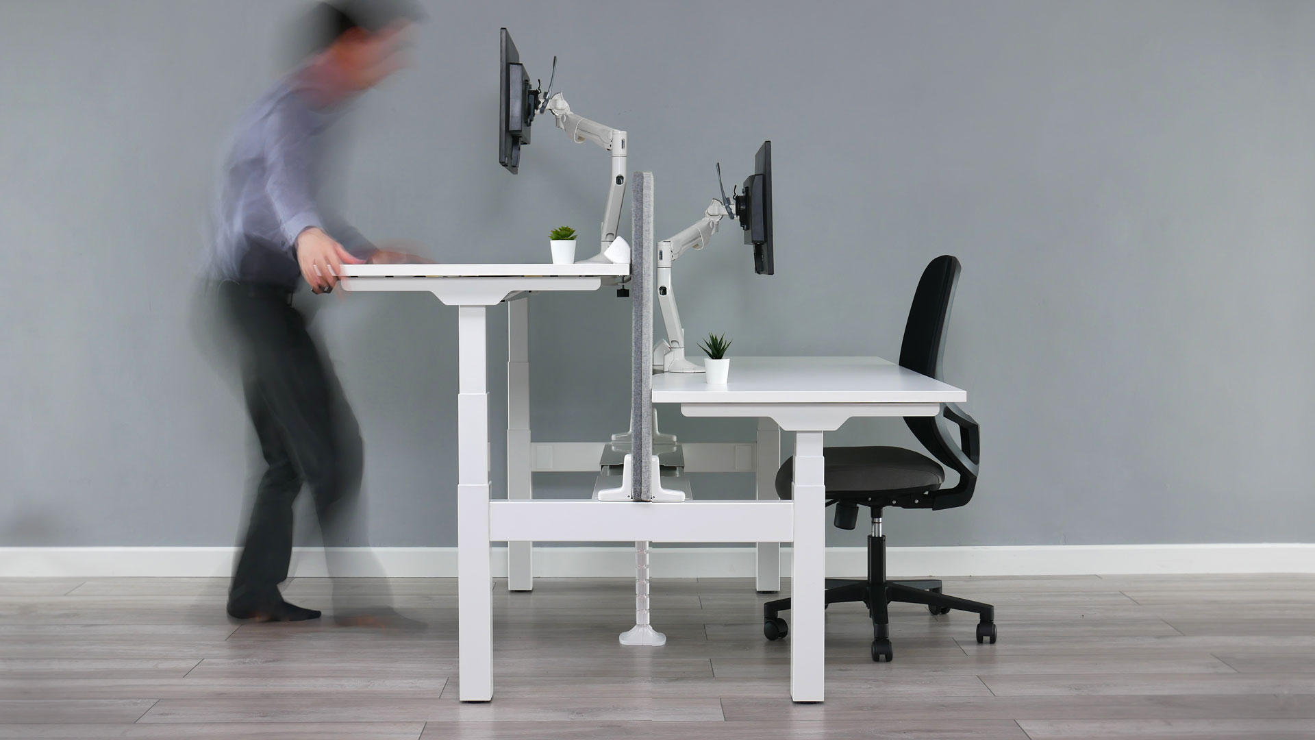 Alto 2 back-to-back sit-stand bench with Levo dynamic monitor arms and Verona task chair